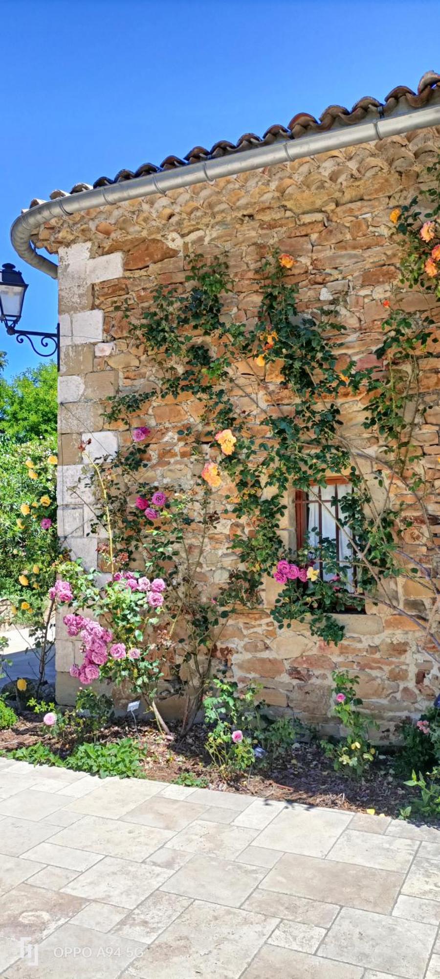 Gite De La Meouge Barret-sur-Meouge Exteriör bild